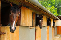 free Darley Head stable construction quotes